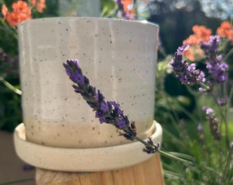 May include: A cylindrical ceramic planter with a speckled off-white glaze and a matching circular saucer base. The planter features a smooth finish with dark flecks distributed across the surface, resting on a natural wooden support structure.