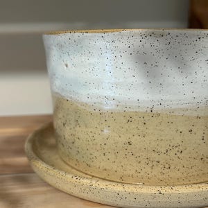Peut inclure: Un pot de fleurs cylindrique en céramique avec sa soucoupe assortie, présentant un design bicolore avec une partie supérieure blanche et une partie inférieure beige clair, le tout parsemé de fines taches noires sur toute la surface.