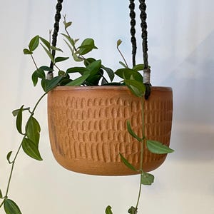May include: A hanging terracotta-colored planter with a textured surface, filled with green trailing vines. The planter is suspended by a dark green macrame hanger against a white background. The plant has small green leaves.