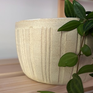 May include: A round, off-white ceramic planter with a speckled, matte texture and vertical carved grooves along the exterior. A trailing green plant with pointed, dark-veined leaves cascades over the side of the pot, partially obscuring the right edge.