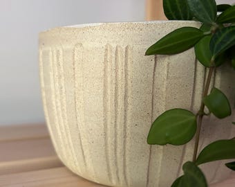 May include: A round, off-white ceramic planter with a speckled, matte texture and vertical carved grooves along the exterior. A trailing green plant with pointed, dark-veined leaves cascades over the side of the pot, partially obscuring the right edge.