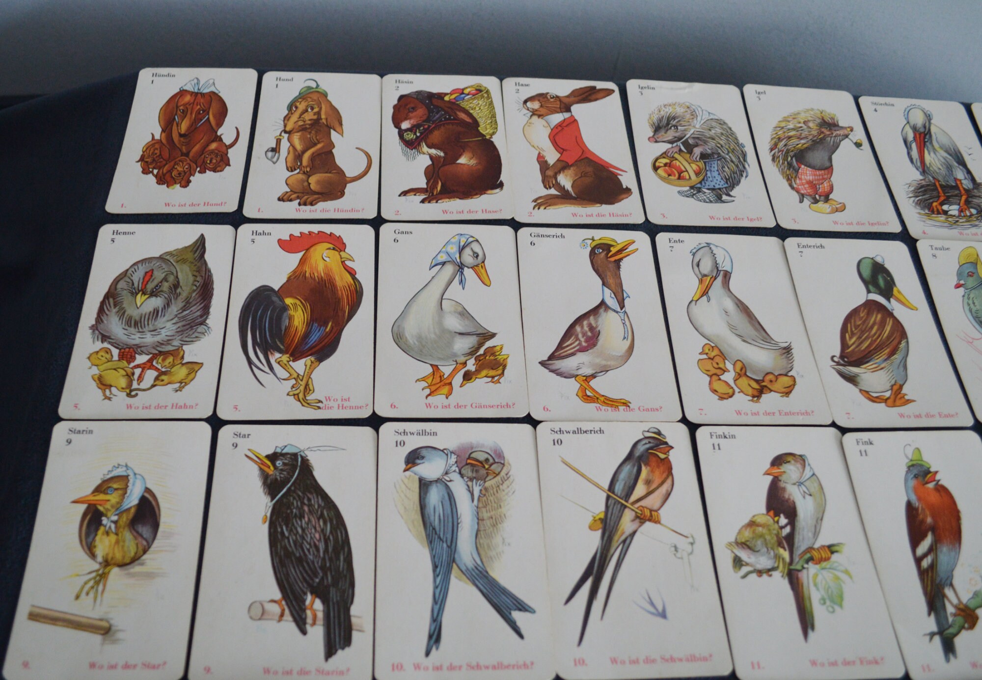 Schwarzer  Peter カード　ゲーム Schwarzer Peter — Schwarzer Peter — The World of Playing Cards