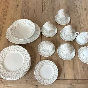 1950s Set English Staffordshire Sterling Forget Me Not Green, J & G Meakin England, Set of 23 Piece Dinnerware