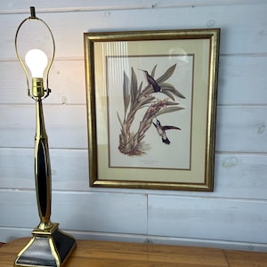 May include: A gold table lamp with a black and white base and a clear light bulb. The lamp is next to a framed print of two hummingbirds on a branch of flowers.