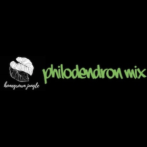Philodendron Mix [substrate for Philodendron species]