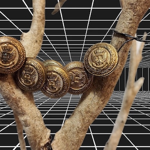 May include: Six antique gold-colored buttons with detailed crest designs are strung on a dried tree branch. The buttons are round and have a metallic sheen. The background is a black and white grid pattern.