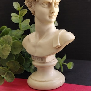 May include: Ivory-colored bust of David, a classical sculpture, with the name "DAVID" inscribed on the base. The bust is set against a dark background, resting on a red book with green foliage.