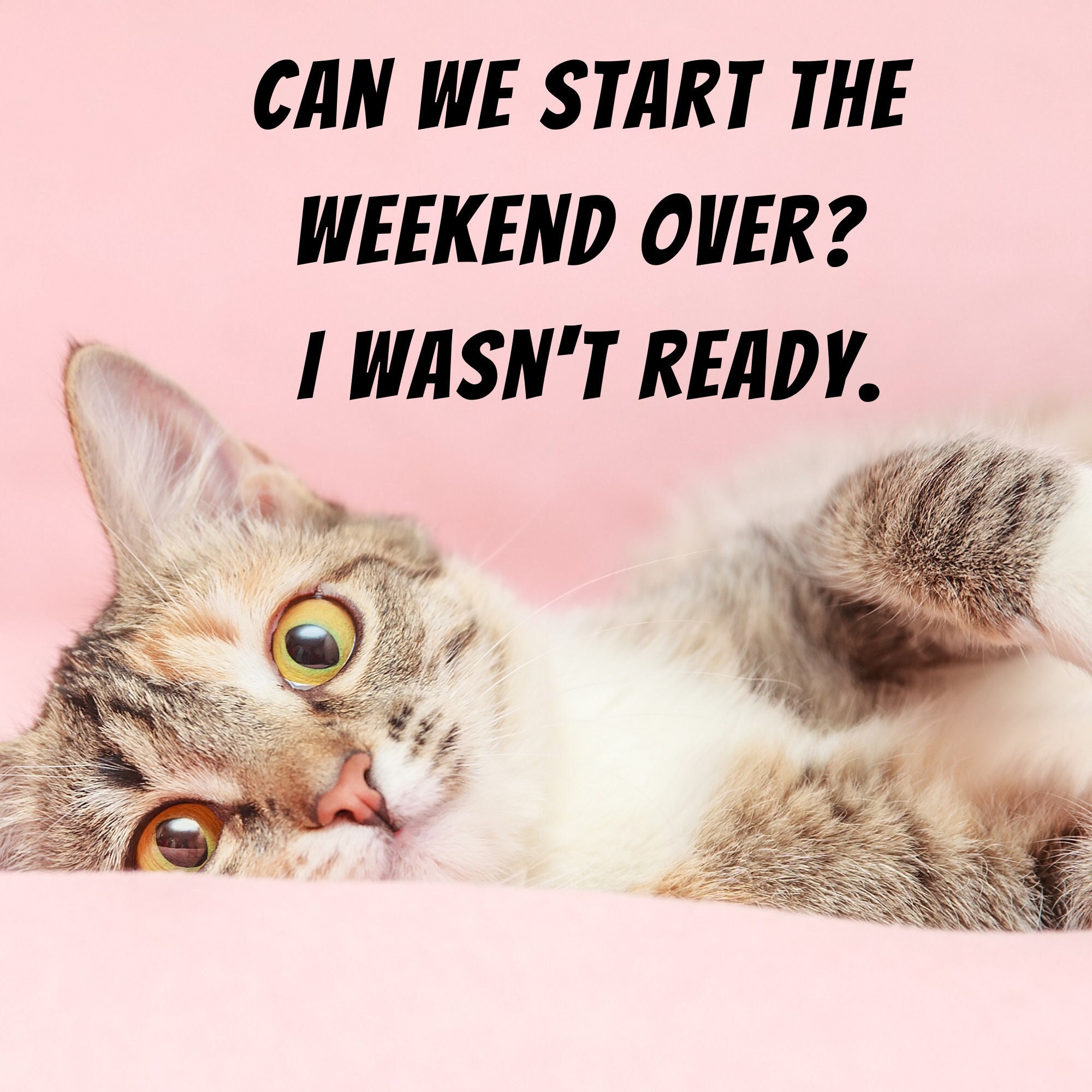 Mondayest Monday Meme - dt9onfc