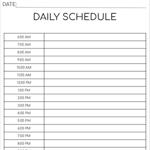 May include: A blank daily schedule planner with a section for notes at the bottom. The schedule is divided into hourly time slots from 6:00 AM to 10:00 PM.