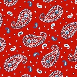 Small Paisley Cotton Fabric, Liberty for All 65487 J Mundo Henry Glass ...
