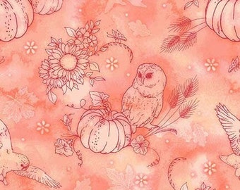 Outline Pumpkin Toss Cotton Fabric 6987-33 Night Owls Thanksgiving Fabric Kathleen Francour Studio E FQ Fat Quarter Eighth half BTY harvest