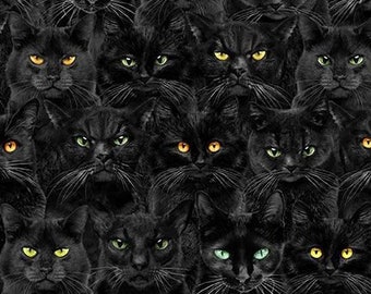 Black Cats Magic Halloween Cotton Fabric CD1831 Wicked Timeless Treasures Haunted witchy goth cat eyes FQ Fat quarter eighth by the yard BTY