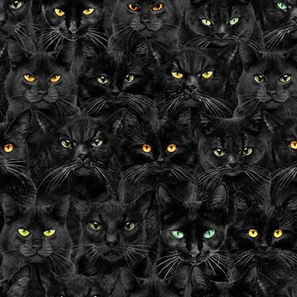 Black Cats Magic Halloween Cotton Fabric CD1831 Wicked Timeless Treasures Haunted witchy goth cat eyes FQ Fat quarter eighth by the yard BTY