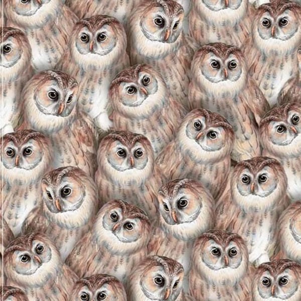 Owl Clutter Cotton Fabric 698439 Night Owls Halloween Fabric Kathleen Francour Studio E FQ Fat Quarter Eighth by the yard BTY harvest witchy