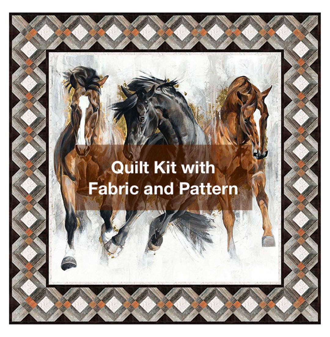 Running Mates Quilt Kit With Fabric and Pattern for Quilt Top and