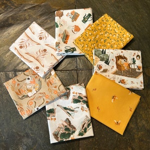 7 pc Bookish Fat Quarter Bundle ,Dear Stella, Rae Ritchie, FQ Precuts Set Witchy Bookworm Moth Reading Book Complete Collection Quilter Gift