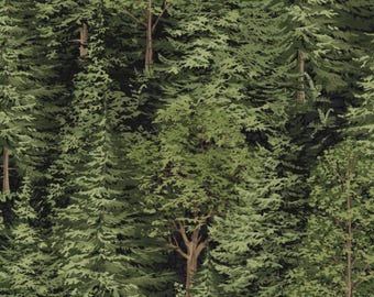 Trees Cotton Fabric, Bear Necessities 28626-99, Northcott, Deborah Edwards, FQ Fat Quarter BTY By the Yard Precuts Forest Camping Camp