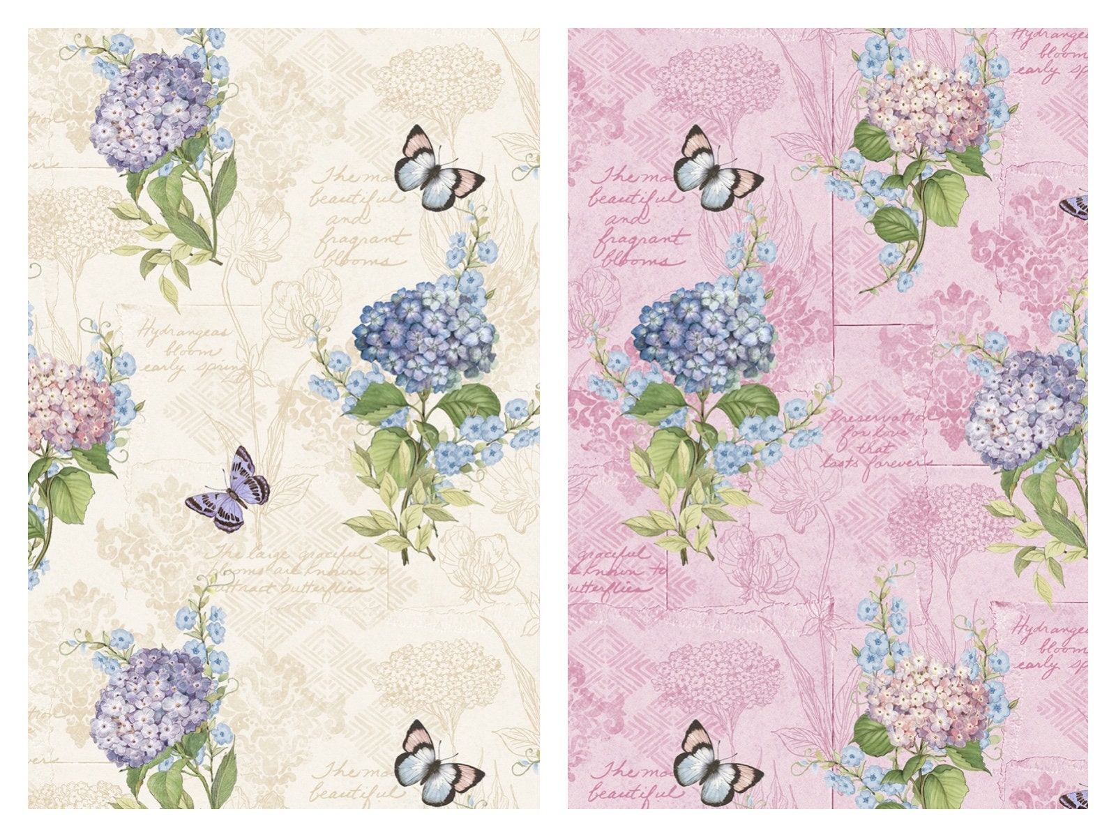 Hydrangeas Monograph Cotton Fabric Hydrangea Mist 39821 Susan