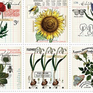 Pages Patch Panel Cotton Fabric, Art Journal Janet Wecker Frisch PD13030 Dark academia 24'' Panel wall hanging text collage botany scrapbook