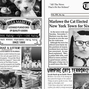 Cat News cotton quilt fabric, C6705 Quirky Cats, Timeless Treasures, Modern Funny FQ Fat Quarter By the Yard BTY Precuts Kitty Lover Decor
