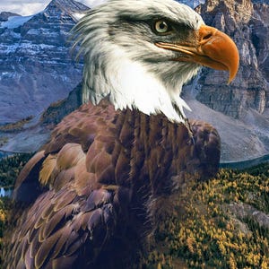 Americana Eagle Panel Cotton Fabric, Call Of The Wild W5509H-159 Hoffman Fabrics Easy Fast Wall Art, forest wildlife decor Outdoors Mountain