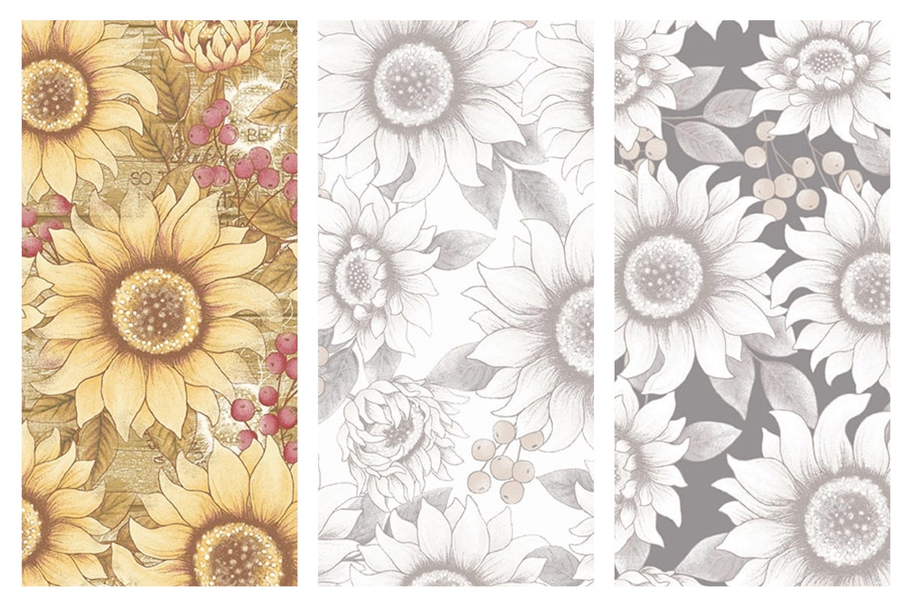 花*花直筆サイン色紙&FOOT PRINT〜花*花WORKS 2000-2003 価格CD・DVD・ブルーレイ - 花*花直筆サイン色紙&FOOT PRINT〜花