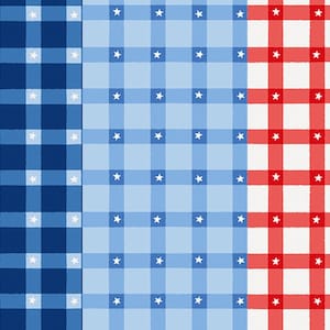 May include: A patriotic pattern featuring a grid design in blue, light blue, and red. White stars are evenly spaced within the grid squares, creating a festive and decorative look. The design is reminiscent of a flag.