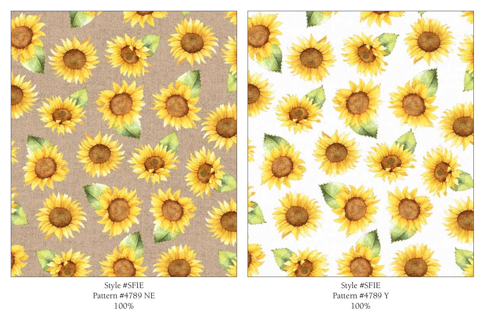Sunflower ページ 71gE14kdPvL._UF1000,1000_QL80_.jpg