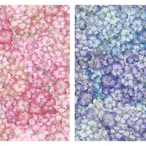 May include: A watercolor painting of two floral patterns. The left side features a pink and white floral pattern. The right side features a blue and white floral pattern.