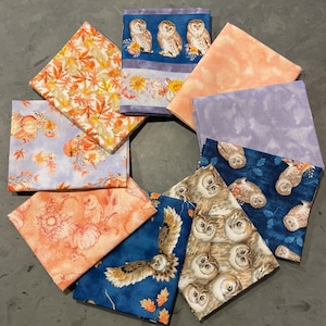 May include: A collection of ten fabric squares featuring various owl designs. The fabrics are a mix of blue, orange, purple, and white with different patterns including owls, leaves, and pumpkins.