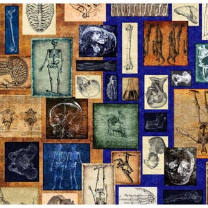 May include: A collage of vintage anatomical illustrations featuring skeletons, bones, and organs. The images are arranged in a grid pattern on a blue background. The illustrations are in black and white and have a faded, antique look.