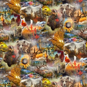 May include: A colorful collage of nature images featuring animals, plants, and landscapes. The collage includes a bear, a bison, a deer, a bird, a fish, a sunflower, and a forest scene.