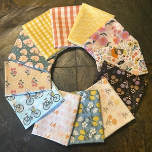 12 pc PicNYC at Central Park Fat Quarter Bundle, Andrea Elias, Phoebe, FQ Fat Quarter Precuts Quilter Gift For Mom, Summer Picnic Bicycle