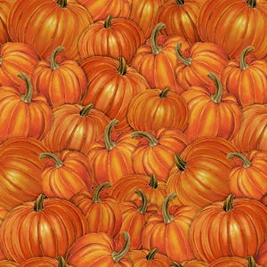 May include: A close-up image of a collection of orange pumpkins. The pumpkins are arranged in a random pattern, with some pumpkins overlapping others. The pumpkins are all different sizes and shapes.