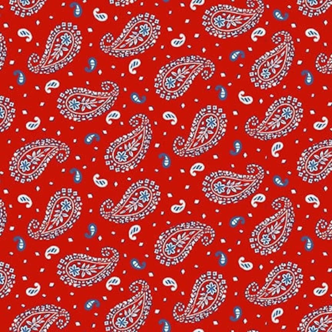 Small Paisley Cotton Fabric, Liberty for All 65487 J Mundo Henry Glass ...