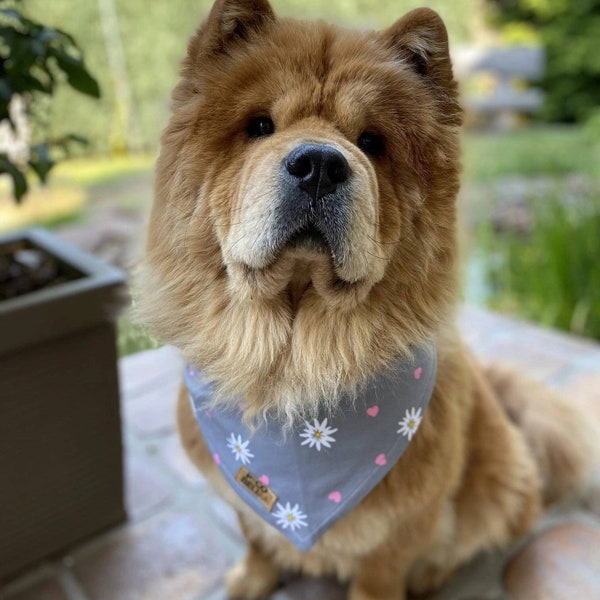 Hundehalstuch "Edelweiß", Wendetuch, personalisierbar, Bandana für Hunde