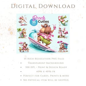 Beach Cuties Clipart Bundle PNG – Cute Summer Animals, Tropical ...