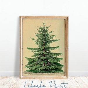 PRINTABLE Vintage Nordic Christmas Tree Print | Christmas Print | Holiday Christmas Tree Sketch | V120