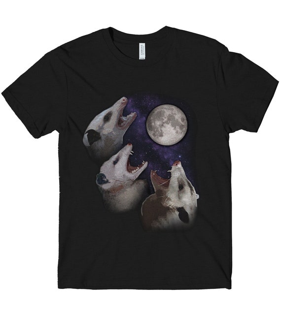 Tee shirt manches courtes graphique talai Oxbow | La Redoute