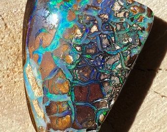 Opale jakości myOpal - 57ct Wspaniały wzór Yowah Matrix Nut Opal