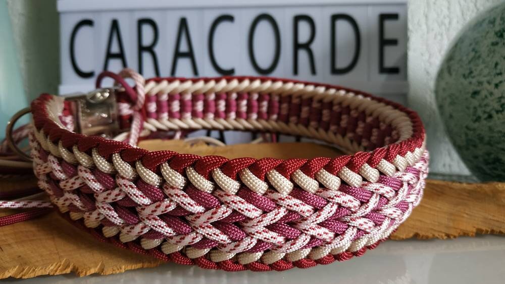 Collier Pour Chien en Paracorde Modèle Money Penny