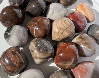 May include: A collection of polished petrified wood stones in various shades of brown, red, and gray. The stones are smooth and have a natural, organic look.