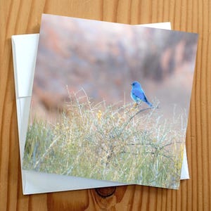 Carte de voeux vierge de photographie d'art nature 5 x 5