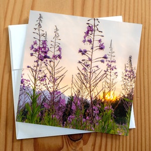 Carte vierge de photographie d'art de fleurs sauvages 5 x 5