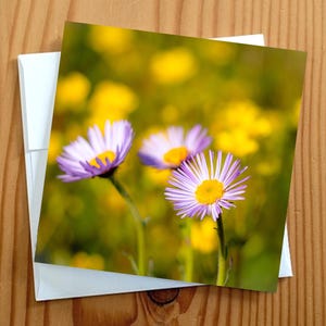 Carte vierge de photographie d'art de paysage 5 x 5