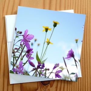 8 cartes de voeux fleurs sauvages vierges 5 x 5