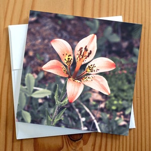 Carte vierge de photographie d'art de fleurs sauvages 5 x 5