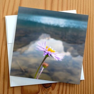 Carte vierge de photographie d'art de fleurs sauvages 5 x 5