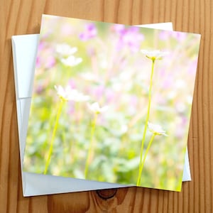 Carte vierge de photographie d'art de fleurs sauvages 5 x 5