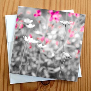 Carte de voeux photographie nature fleurs sauvages 5 x 5